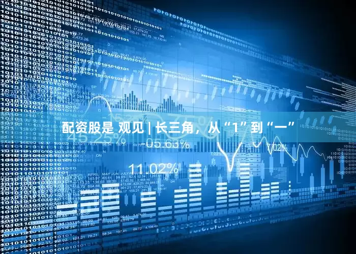 配资股是 观见 | 长三角，从“1”到“一”