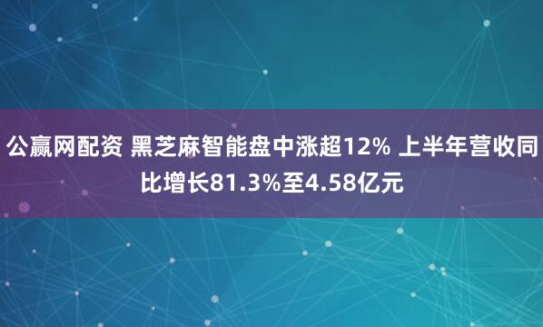 公赢网配资 黑芝麻智能盘中涨超12% 上半年营收同比增长81.3%至4.58亿元